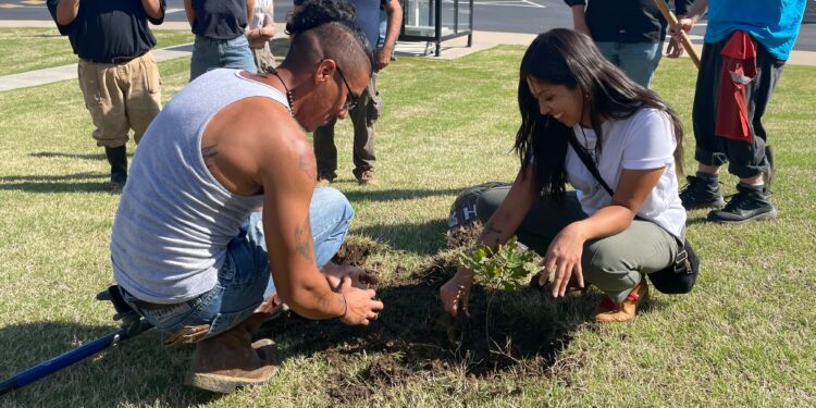 Council Oak Tree’s legacy lives on at CMN