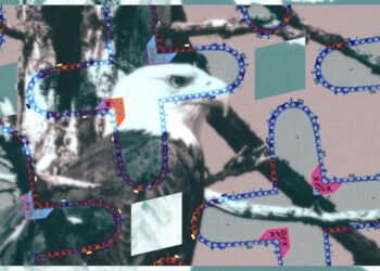 Trump Administration’s wish to expand logging threatens Indigenous wildlife