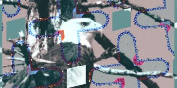 Trump Administration’s wish to expand logging threatens Indigenous wildlife