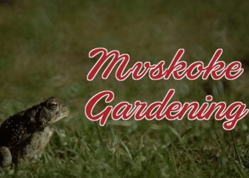 Mvskoke Gardening returns for season two