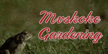Mvskoke Gardening returns for season two