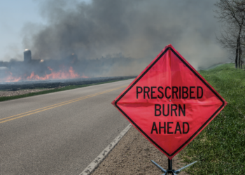 CMN and OSU-Okmulgee partner in prescribed burn workshop