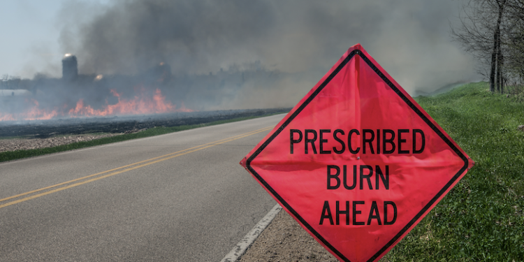 CMN and OSU-Okmulgee partner in prescribed burn workshop