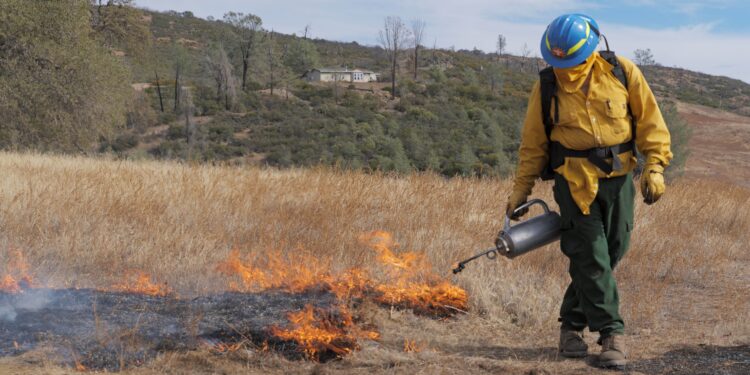 Fire Workshop and Field Day in Okmulgee on Sept 10