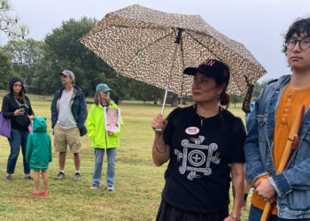 No Kings protesters make voices heard across the nation