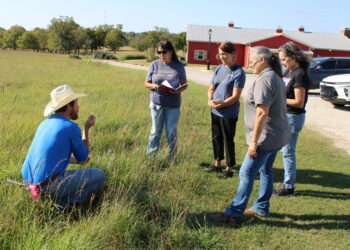 Citizens take plant ID tour through a field of dreams