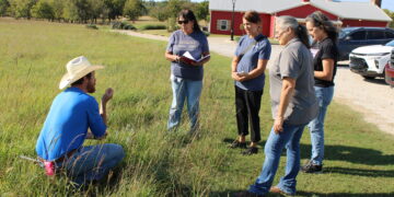 Citizens take plant ID tour through a field of dreams