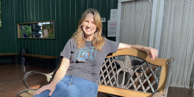 Blue Morpho, Caligo and Paper Kites