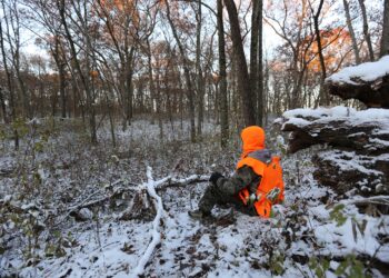 Legal conflict continues between Stitt and Drummond