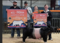 13th Annual All-Indian Livestock Show