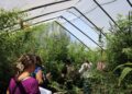 Experts Seed Action and Hope