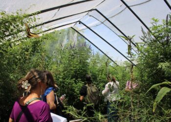 Experts Seed Action and Hope