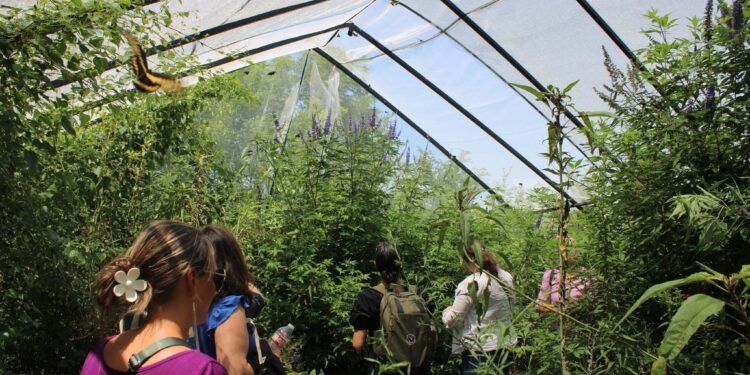 Experts Seed Action and Hope