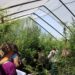 Experts Seed Action and Hope