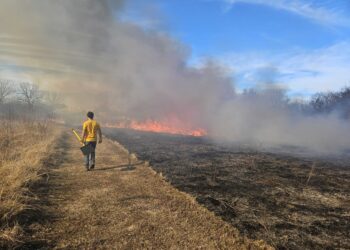 Neighbors helping neighbors: Prescribed burn associations return fire to Oklahoma lands