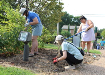 Volunteers get their hands dirty for Council Oak