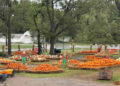 From pumpkins to frights, fall fun awaits