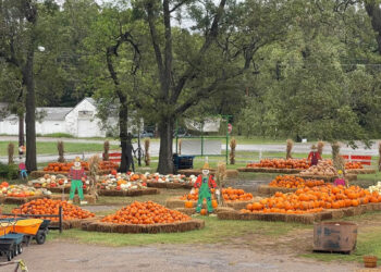 From pumpkins to frights, fall fun awaits