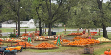 From pumpkins to frights, fall fun awaits