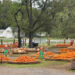 From pumpkins to frights, fall fun awaits