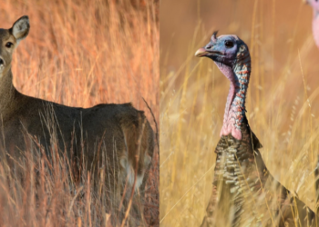 Fall hunting season opens on the Rez
