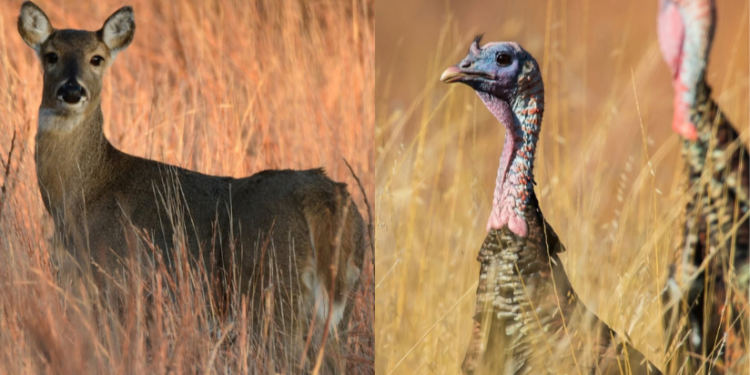 Fall hunting season opens on the Rez